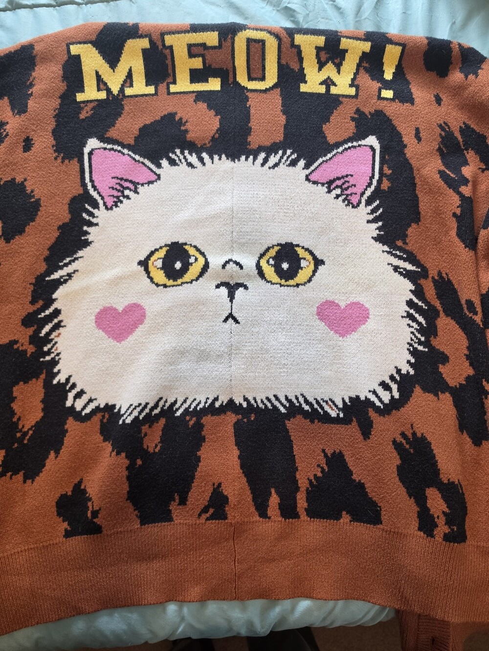 Dressed In Lala Meow! Oversized Leopard Cardigan L XL EUC - Picture 3 of 5